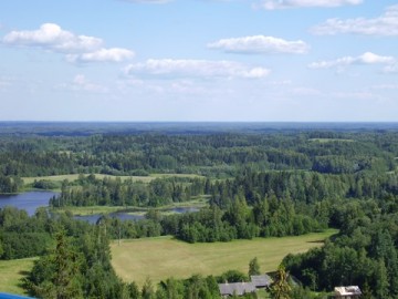 medium_Foret_estonienne.JPG