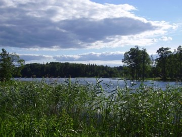 medium_Lac_Estonie.JPG